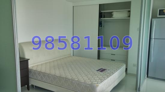 City Square Residences (D8), Condominium #41375432